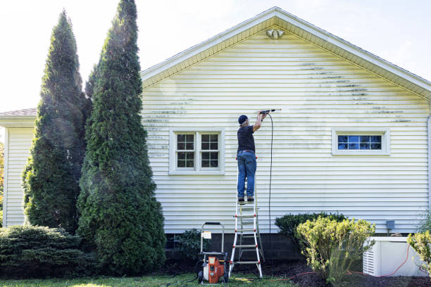Best Sidewalk and Walkway Cleaning  in Tonka Bay, MN
