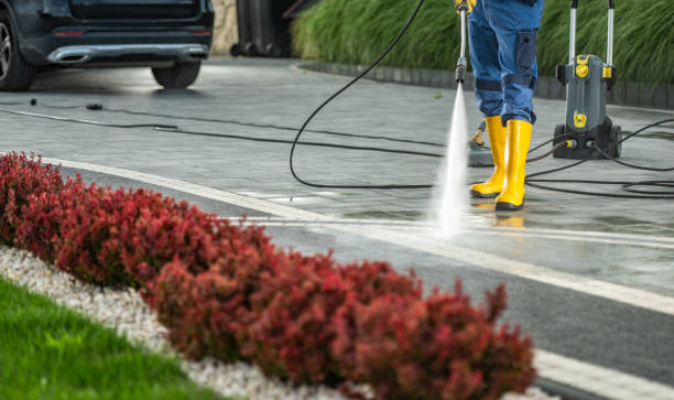 Best Patio and Deck Pressure Washing  in Tonka Bay, MN